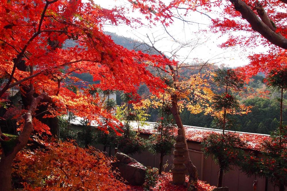 Ryokan Nenrinbo Kyoto Buitenkant foto