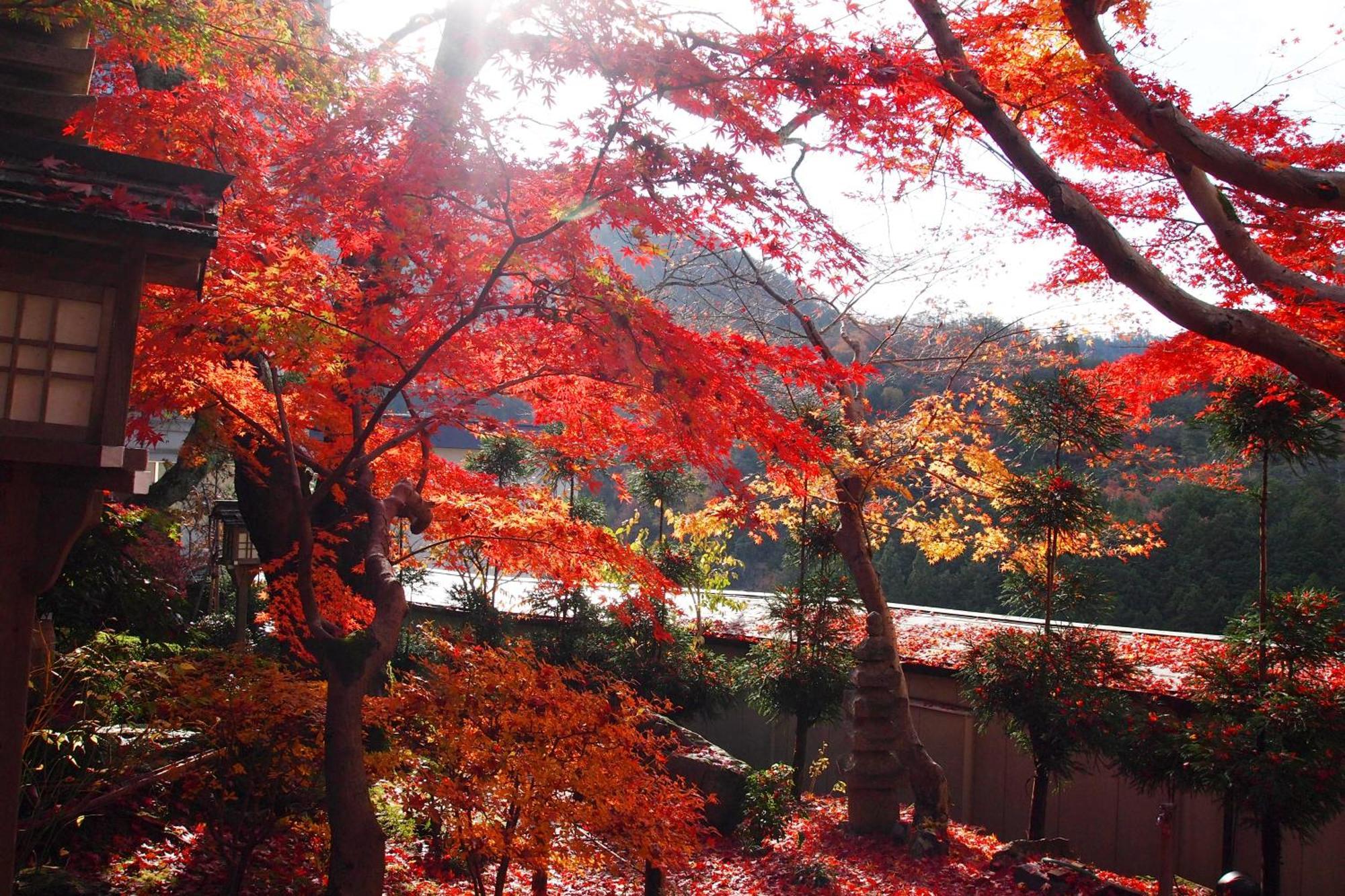 Ryokan Nenrinbo Kyoto Buitenkant foto